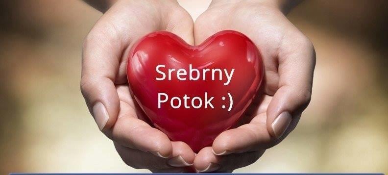 Schronisko Srebrny Potok Panzió Lubawka Kültér fotó